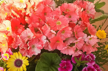 宇都宮市ハートフルにわの歯科医院お花
