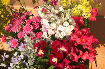 宇都宮市ハートフルにわの歯科医院花